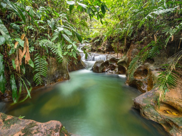 caqueta el paraiso de pedro colombia ©mariocarvajal USO LIBRE CREDITO OBLIGATORIO