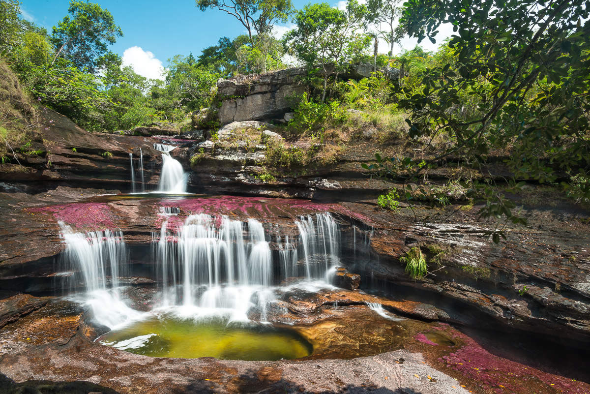 Caño Cristales : Travel guide