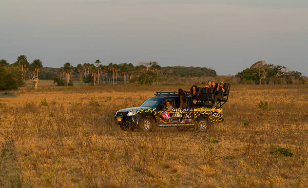 Casanare Los Llanos-Colombia-Reservas Lagunazo y Buenaventura-@MathieuPerrot-Bohringer-52-1