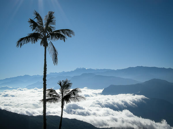 sierra nevada de santa marta cerro kennedy san lorenzo colombia Colombie San Lorenzo Sierra Nevada de Santa Marta©MathieuPerrotBorhinger USO LIBRE 10 9