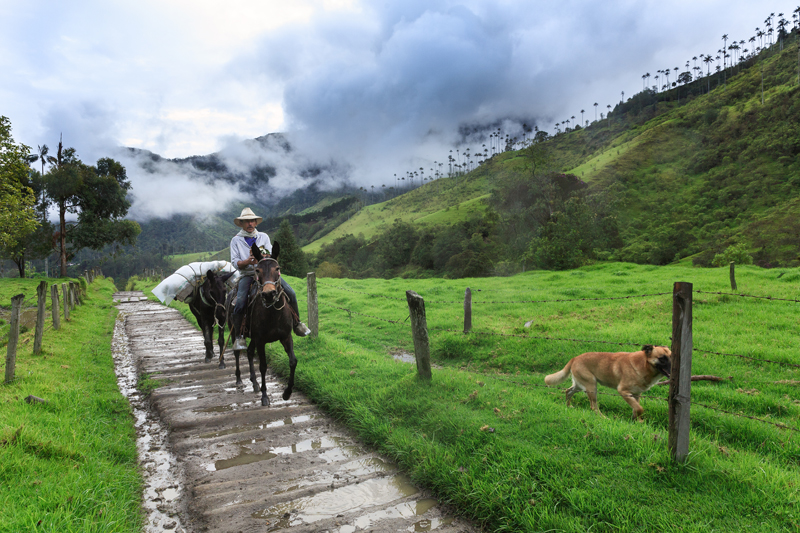 aventurecolombiavallecocora