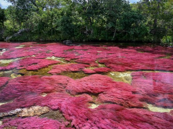 mateo cristales julio 2008 013