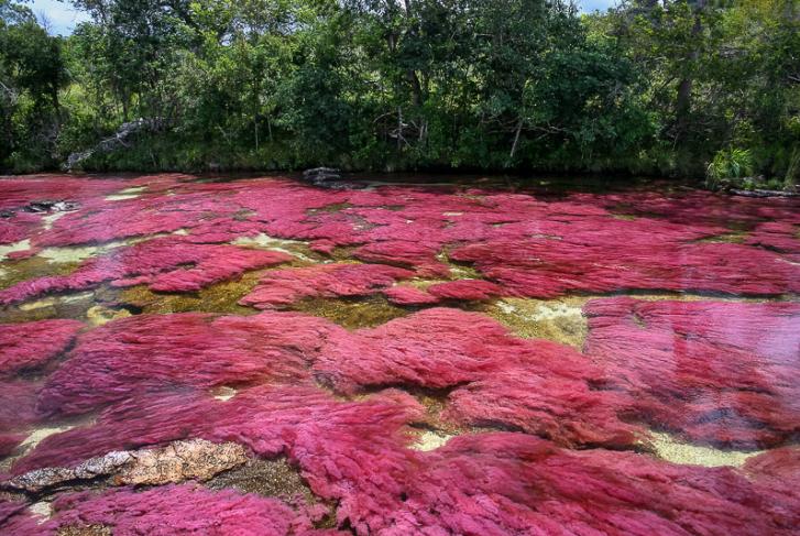 mateo cristales julio 2008 013