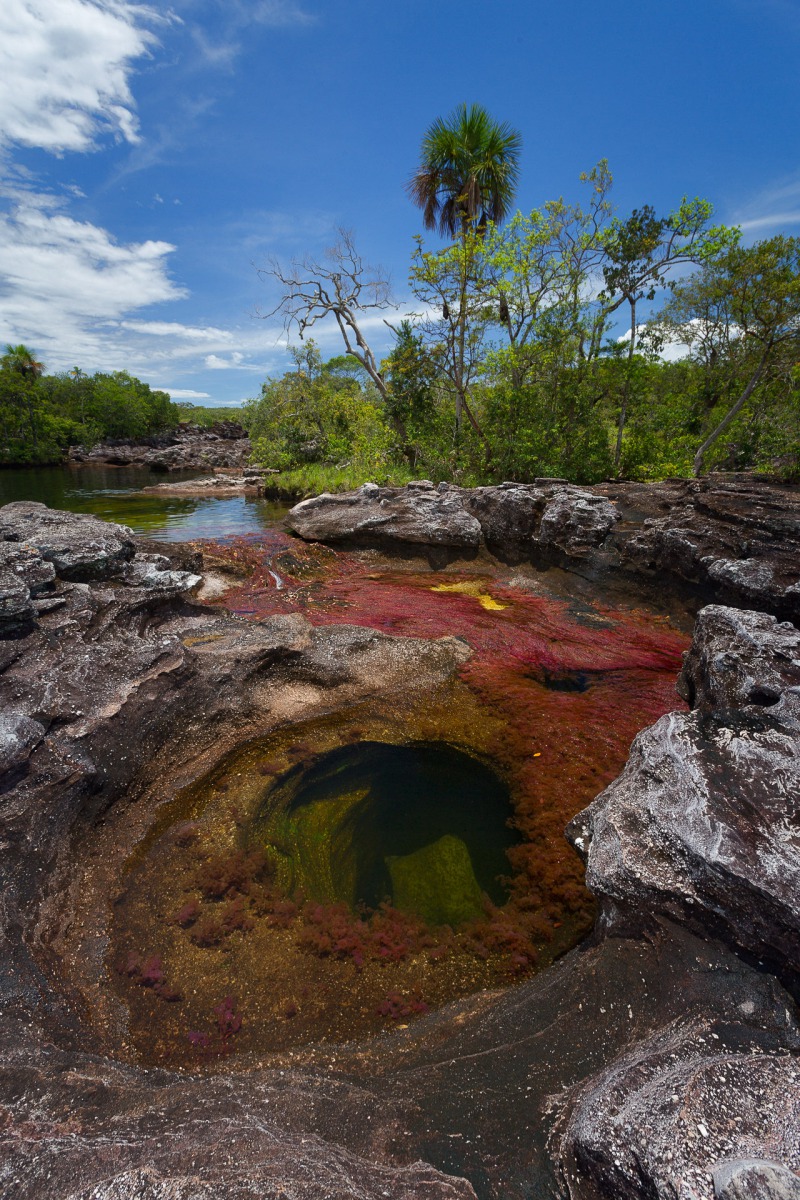 caño cristales meta macarena colombia © Tristan Quevilly