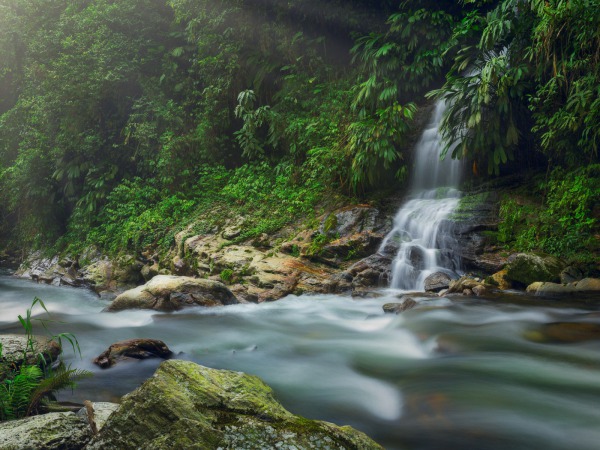 ciudad perdida sierra nevada de santa marta colombia © Tristan Quevilly