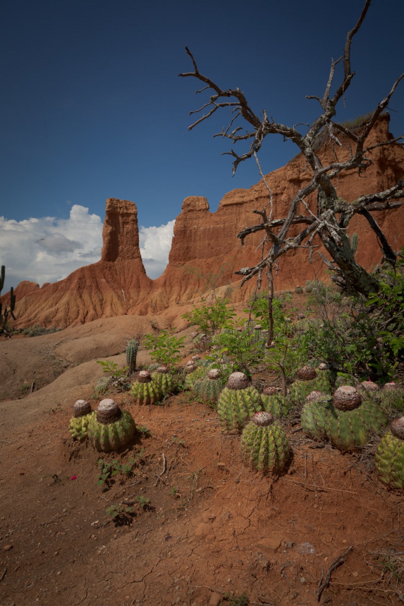 desierto tatacoa huila colombia © Tristan Quevilly