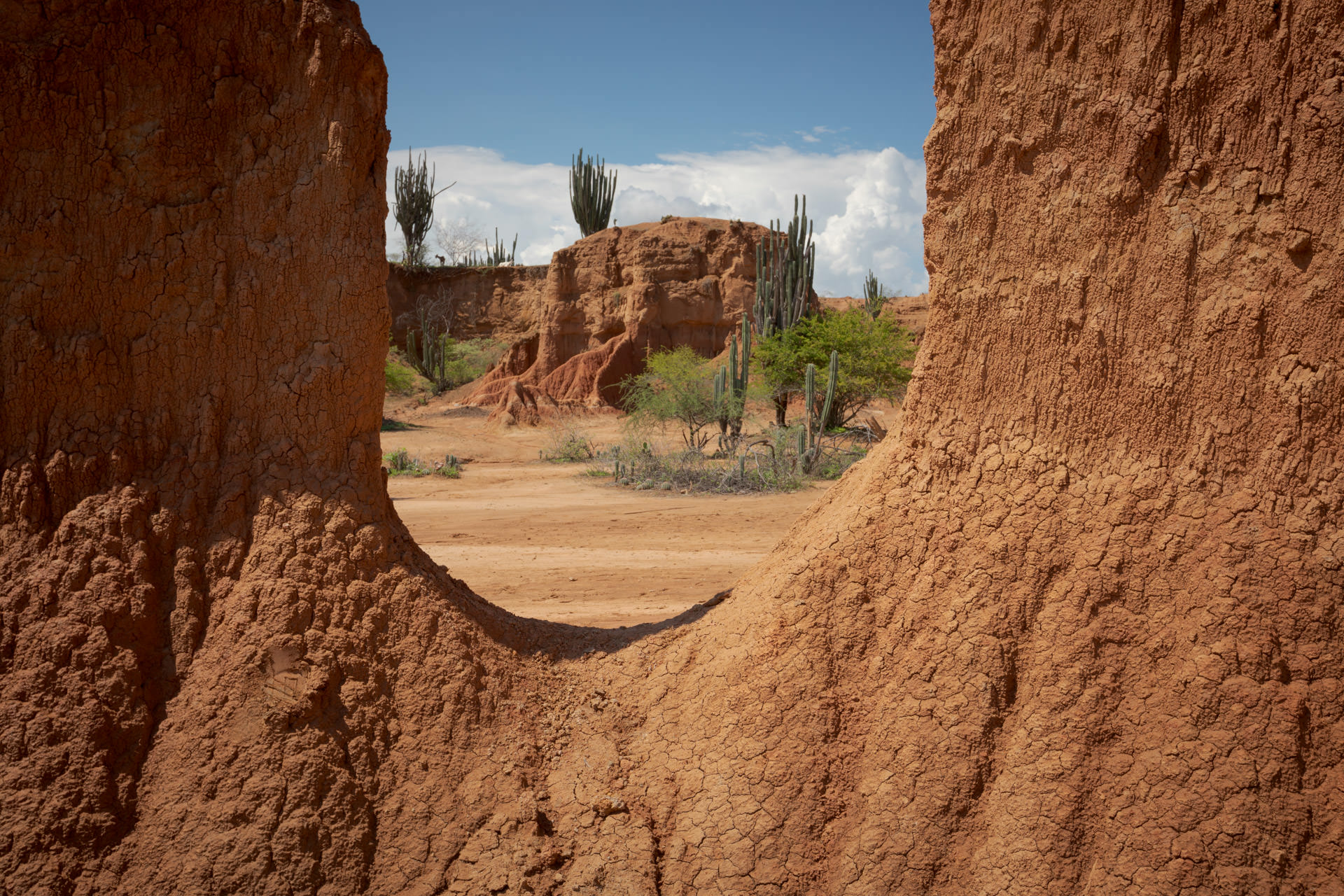 desierto tatacoa huila colombia © Tristan Quevilly