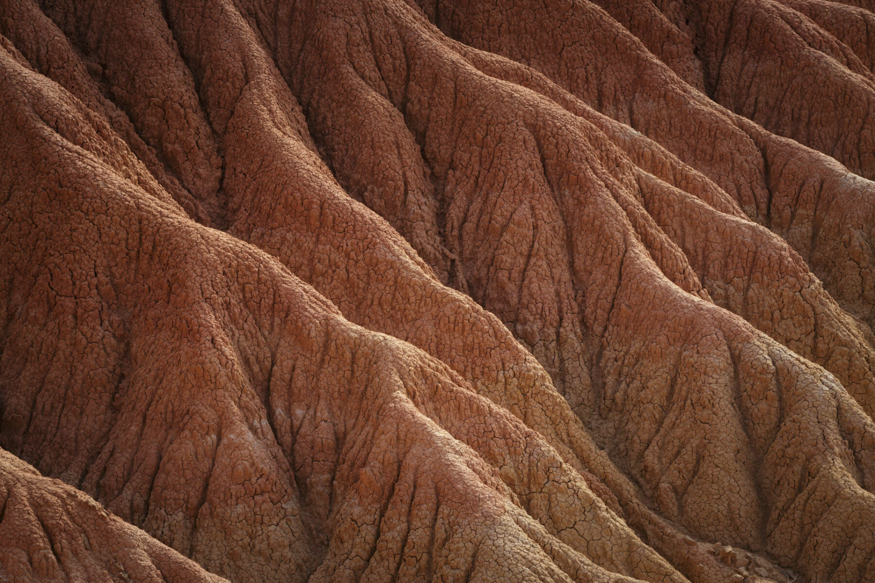 desierto tatacoa huila colombia © Tristan Quevilly