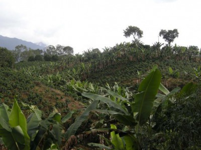 manizales colombia