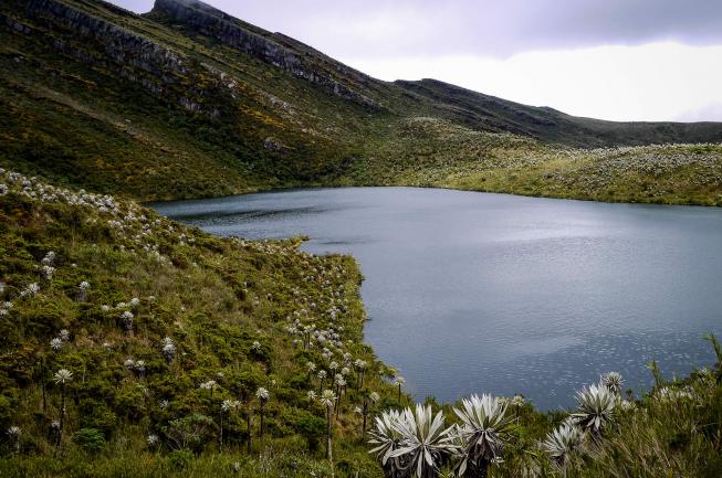 Chingaza park colombia