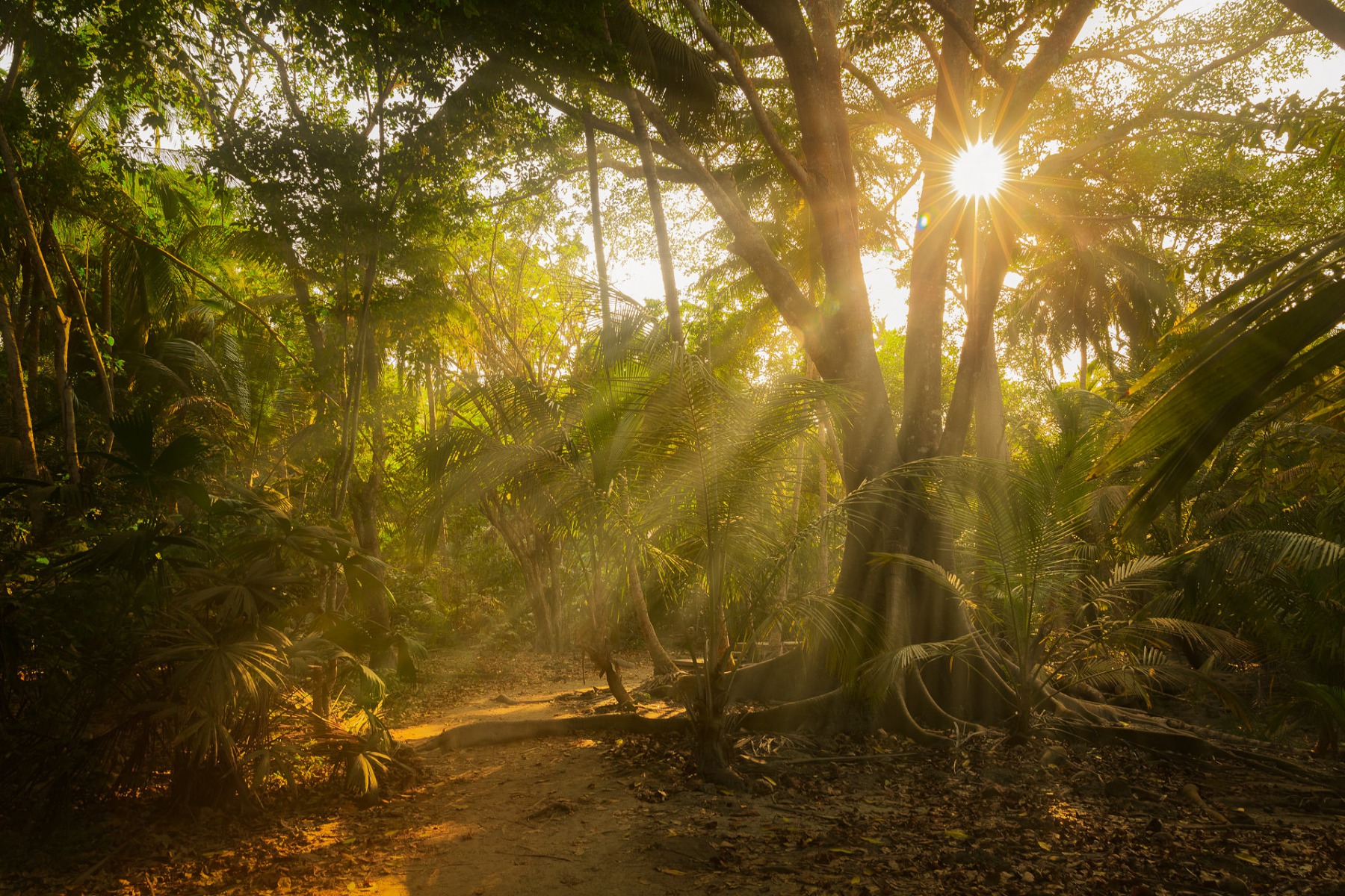 parque tayrona bosque humedo magdalena colombia © Tristan Quevilly 