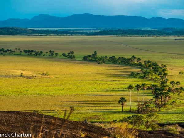 parque tuparro llanos colombia © frank charton