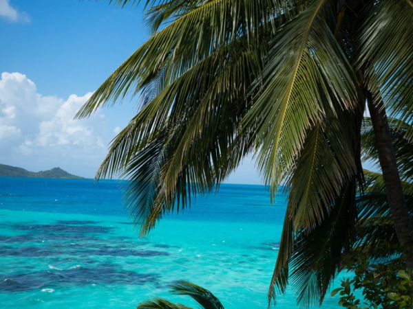 providencia caribbean island colombia ©MathieuPerrotBorhinger
