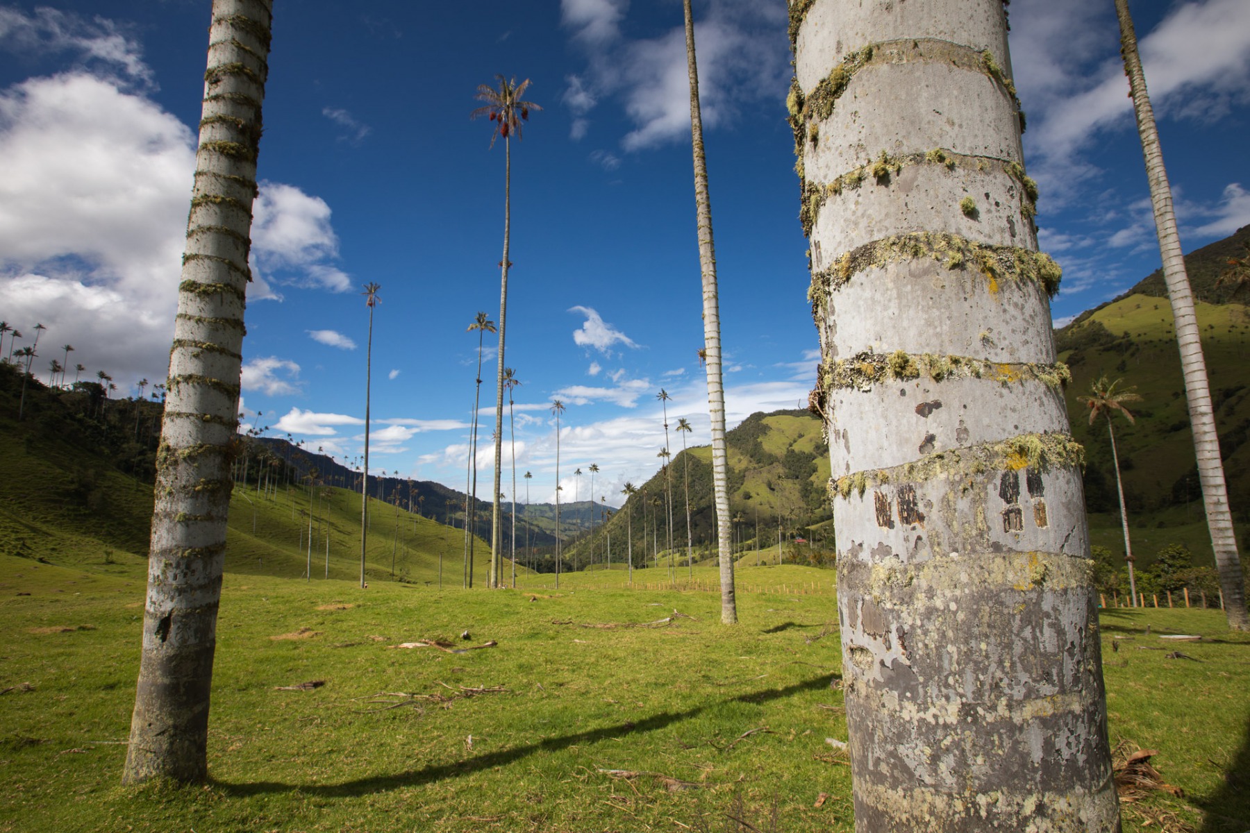 leticia amazonas colombia © Tristan Quevilly
