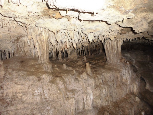 Cueva los guacharos