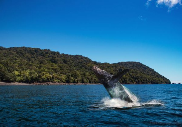 voyage terre d'aventure colombie