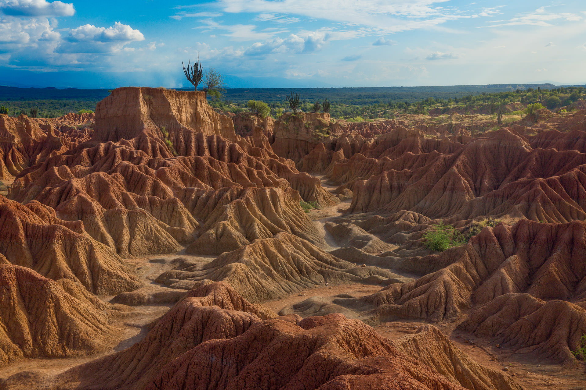 Desierto de Tatacoa : Guía de viaje