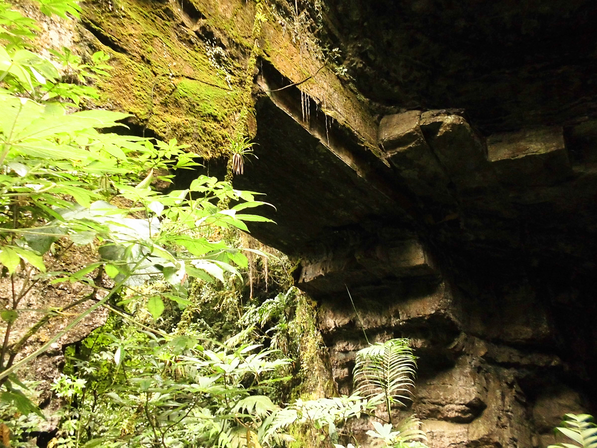 Huila Guacharos colombia caminata Colombie cueva los guacharos Paysage SurRemySoulard USO LIBRE