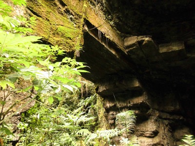 What to do in San Agustín and its surroundings? cueva los guacharos Paysage SurRemySoulard