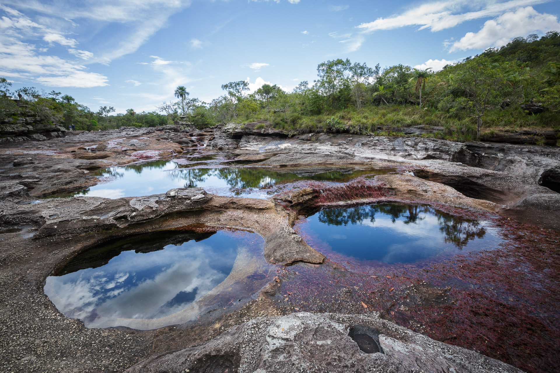 cano cristales meta sierra macarena llanos colombia © tristan quevilly