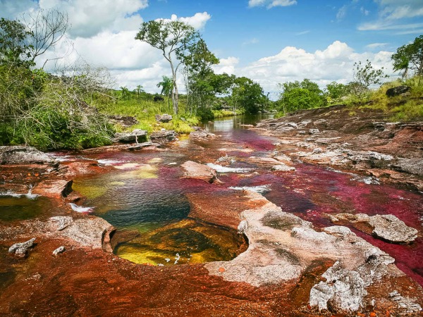 macarena cano cristales colombia cano Cristales Colombie Paysage VDM©MathieuPerrotBorhinger USO LIBRE
