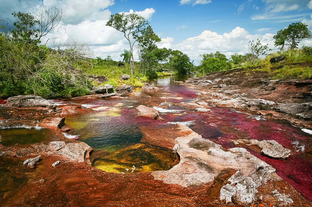 macarena cano cristales colombia cano Cristales Colombie Paysage VDM©MathieuPerrotBorhinger USO LIBRE