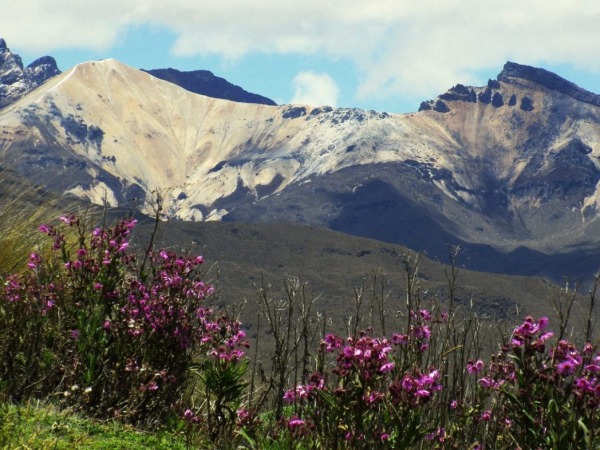 Nevados natural park x